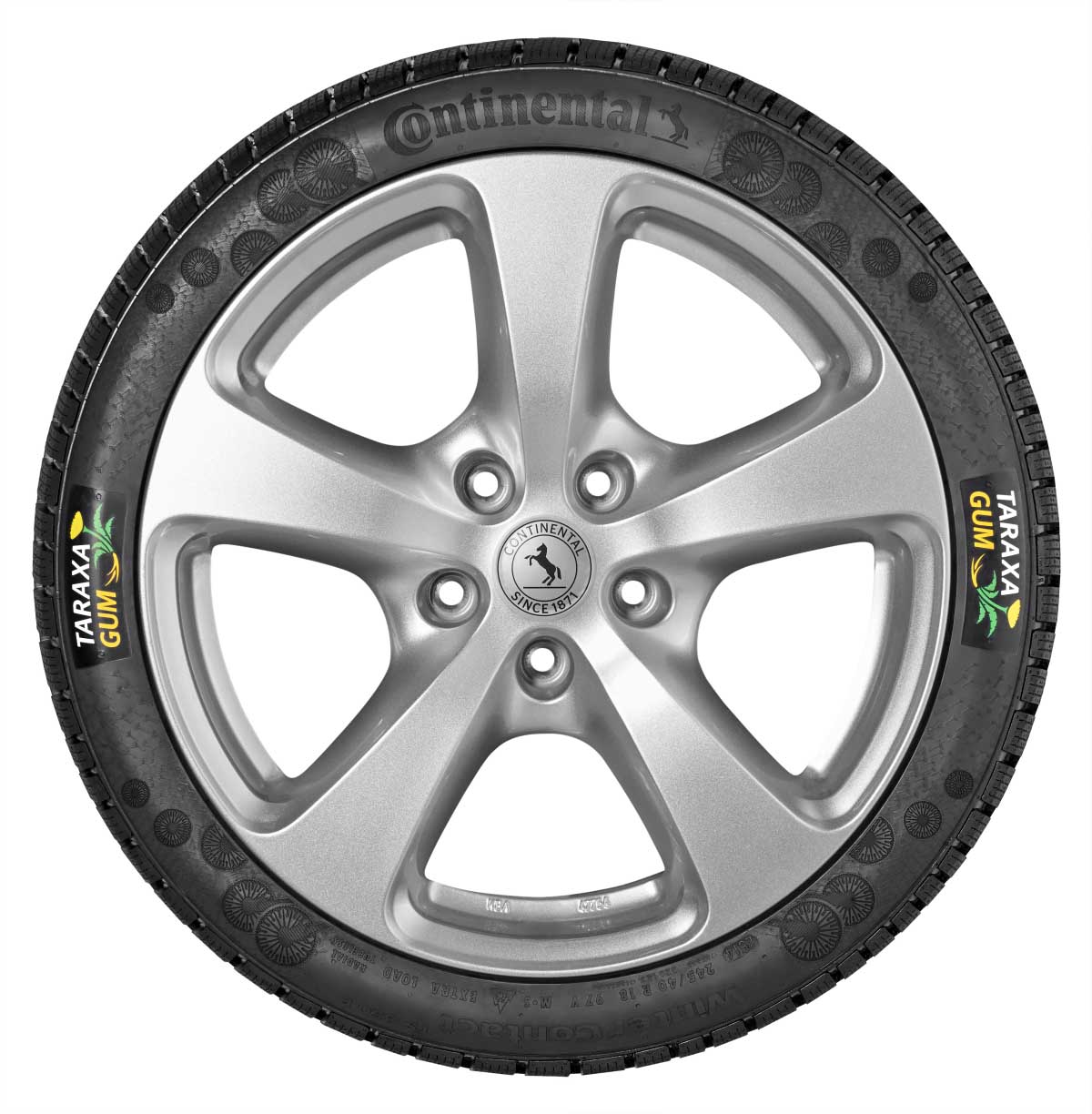 Continental Taraxagum Tire