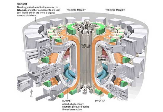 schema Iter reattore fusione