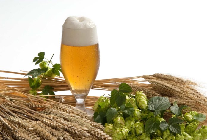 birra agricola