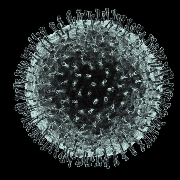 coronavirus