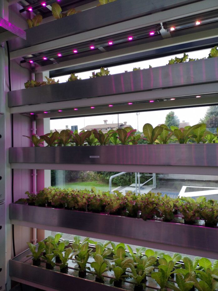 vertical farm