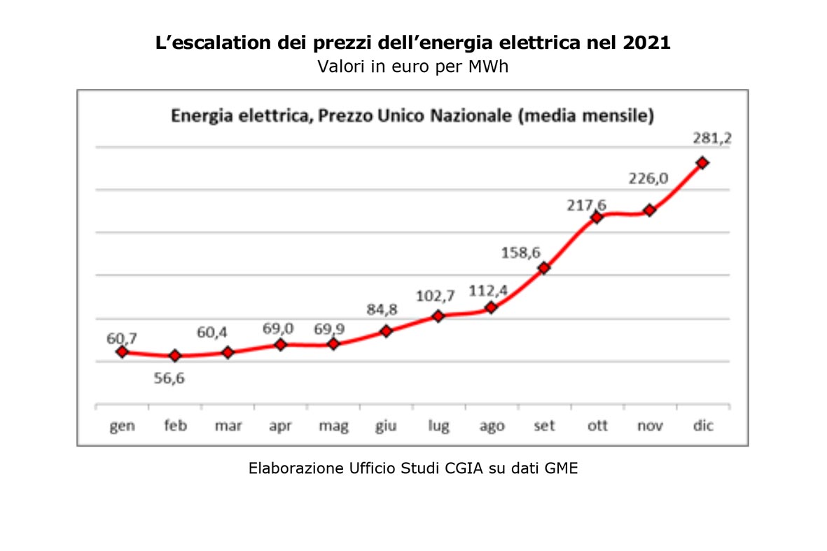 caro energia