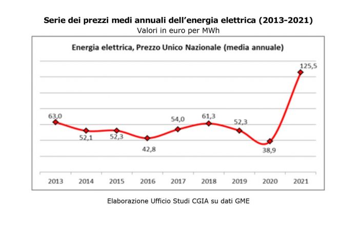 caro energia